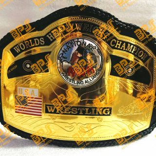 NWA Dom Globe World Heavyweight Wrestling Championship Title Belt