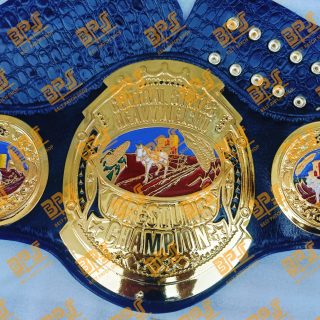 NEW NWA Central State Heavyweight Wrestling Championship Title belt